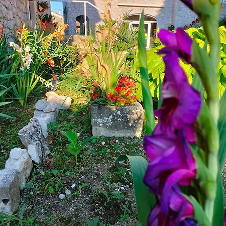 D'hotes La Maison De Mon Pere Bed & Breakfast Saint Alban Auriolles